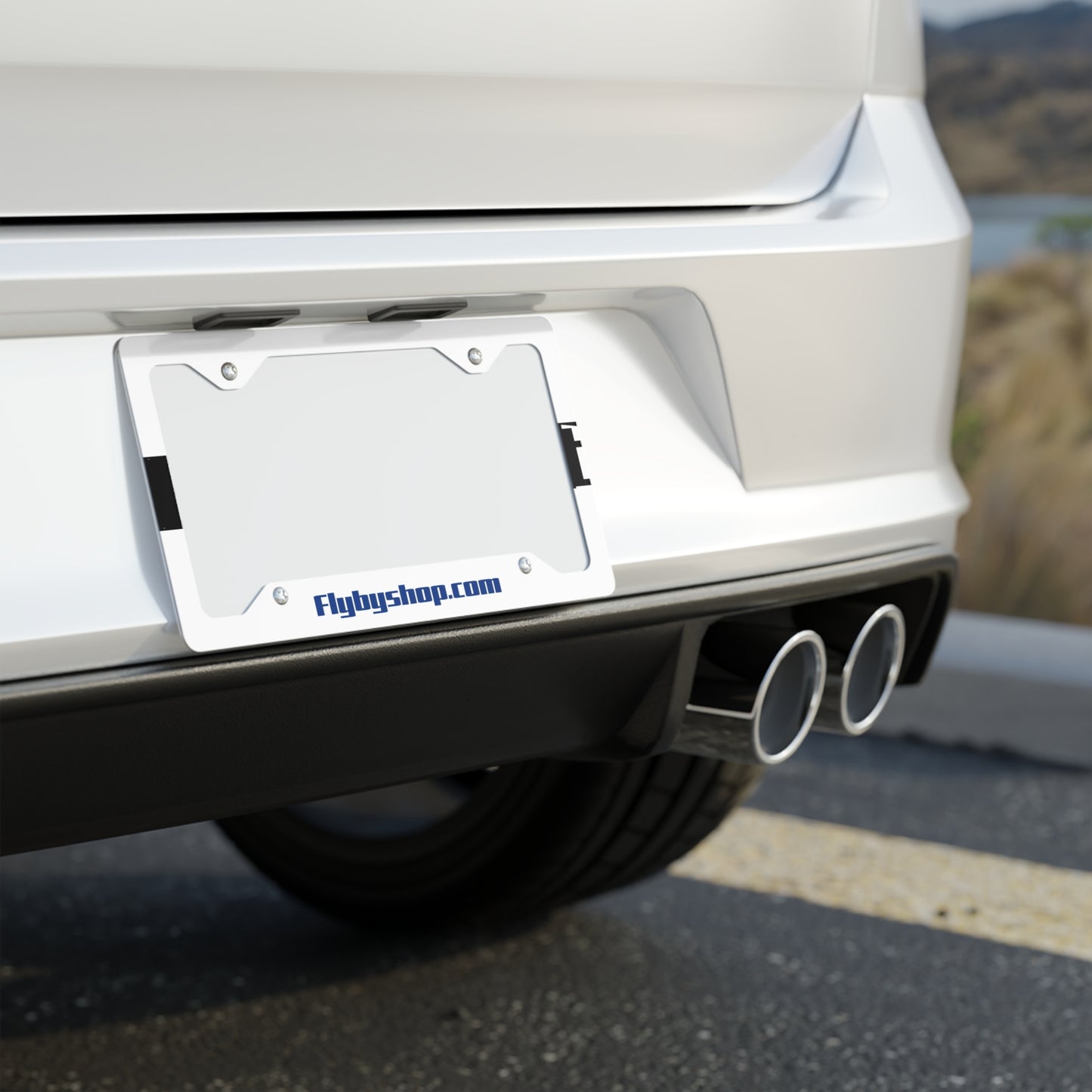 Metal License Plate Flyby